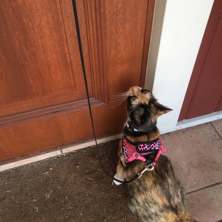 F10816bf dbc9 4817 8ed0 13e5e5a8f61a