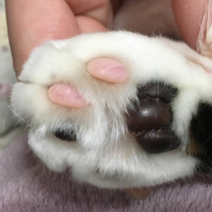 F1087c80 d1c9 4c4d 84ec 3fe7562e71cf