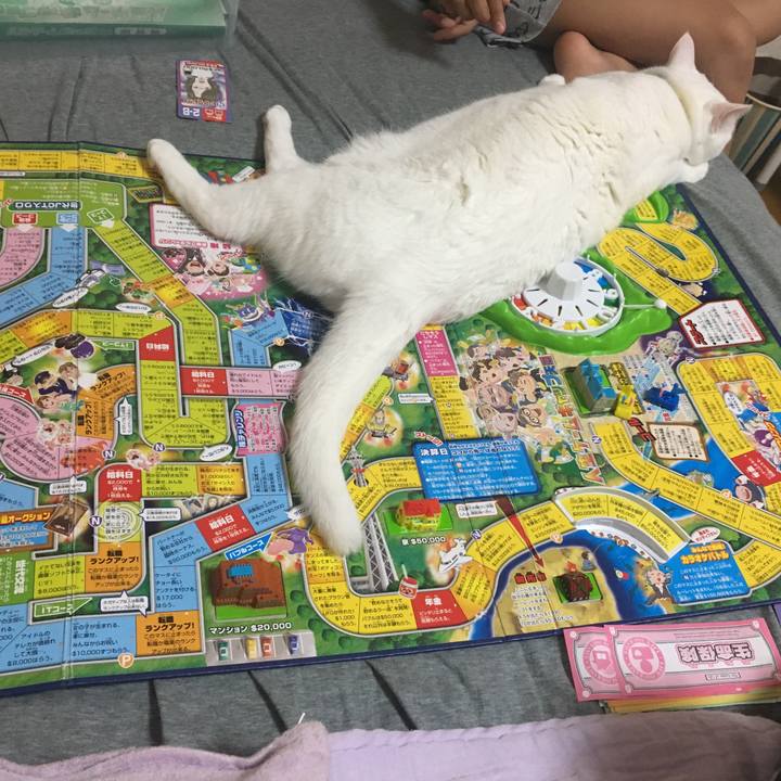 F108ede1 80ac 4177 a14c dcb41a84c172