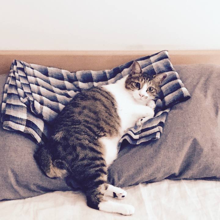 F1094870 021f 41b8 ac94 4b1b06ced969