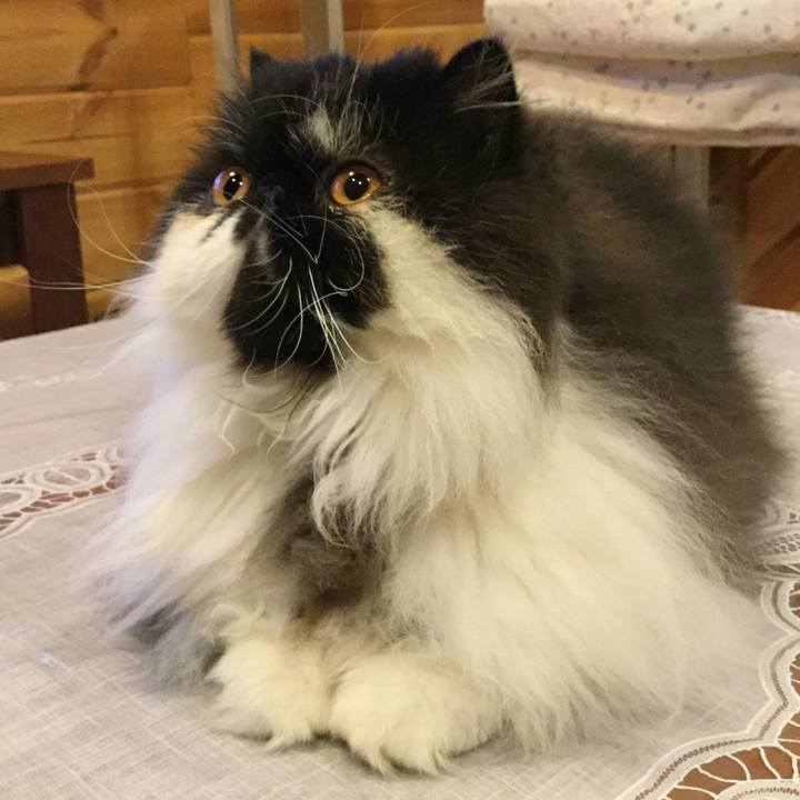 F1099273 757b 45d3 ae50 a501f7a18158