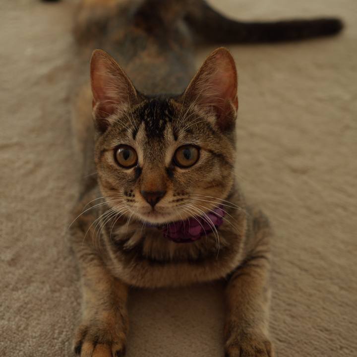 F109b4f2 3d87 4367 a2fa 30be404e670f