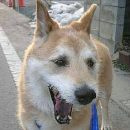 F10a57dc 0a48 41eb 83d5 4e8628f3cd93