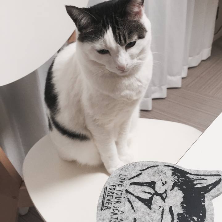 F10ac301 6b20 4ba4 9402 bcab606c23db