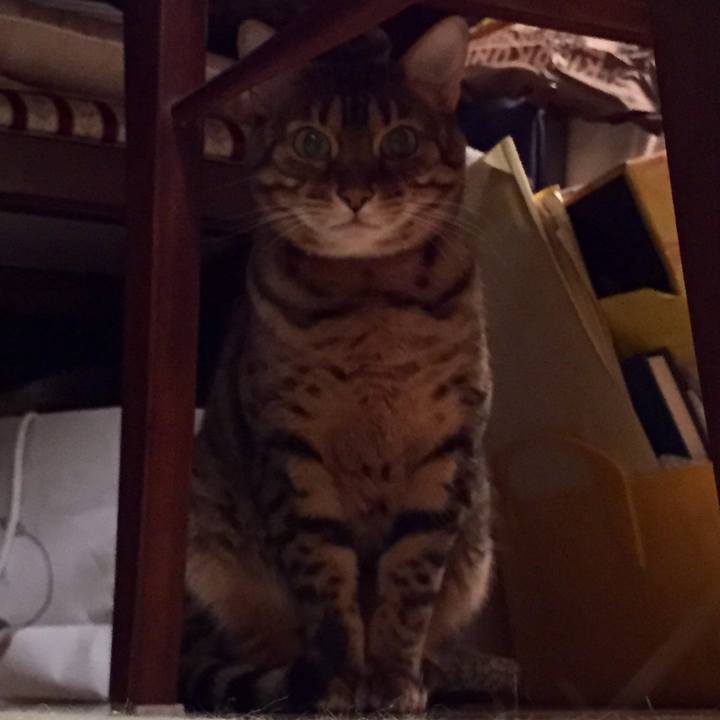 F10af4ae 0bee 4d00 8313 f55532c75c38