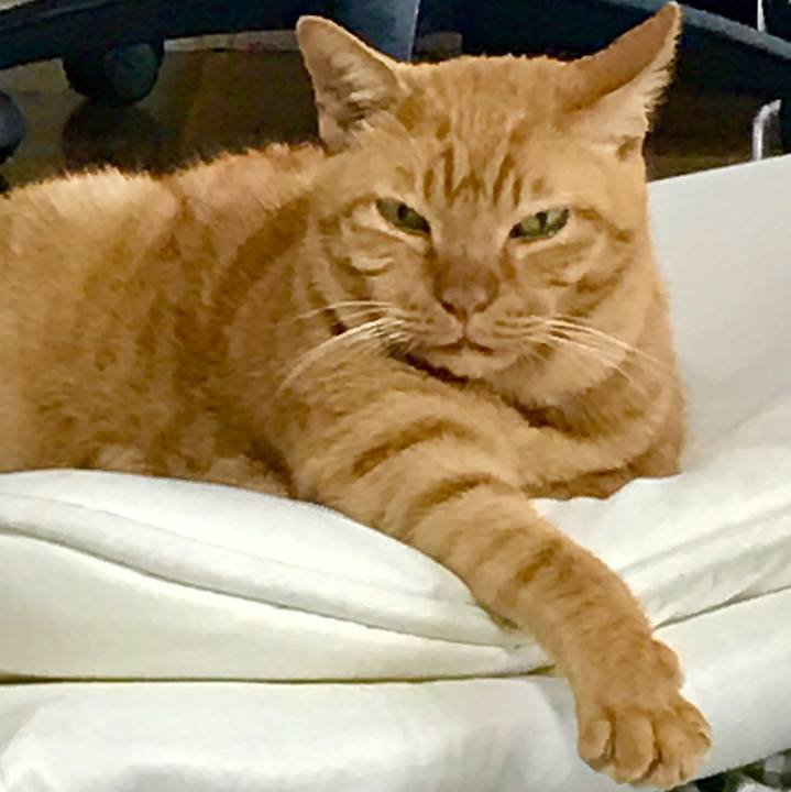 F10c8de7 540d 4139 98d7 5ed87bf557c7