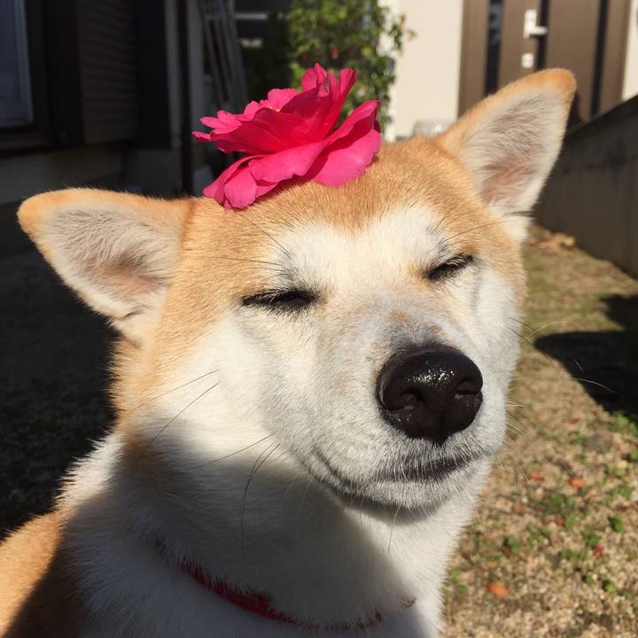 F10d0b3b e343 47ef a7e5 8c2a15e0abbc