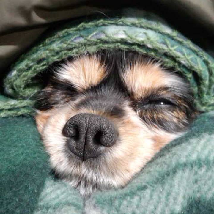 F10d30a2 c2b9 4151 bf82 0990d6ac18fc