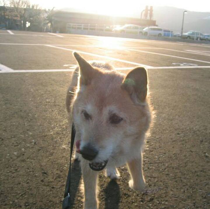 F10d53c9 34b8 4f5b 8823 ac57621f187c