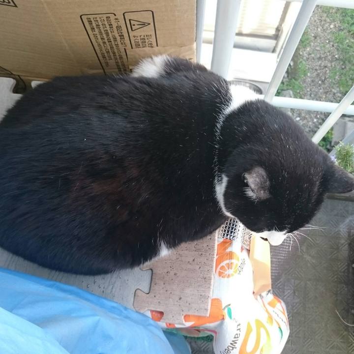 F10d82ca f148 4cf1 bbb5 6ab7f4c49ed3