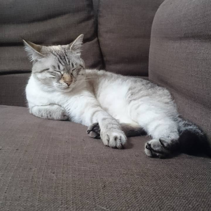 F10d9b72 16c4 4aae b23f 7cef3d876c5d