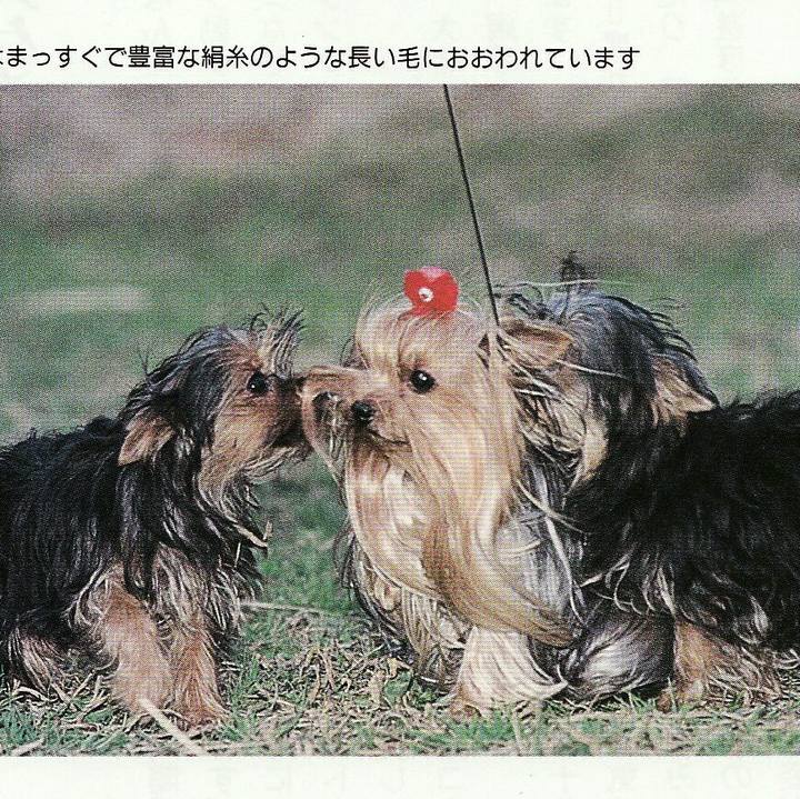 F10ead86 32c7 4b06 8db8 16d6c07a0920