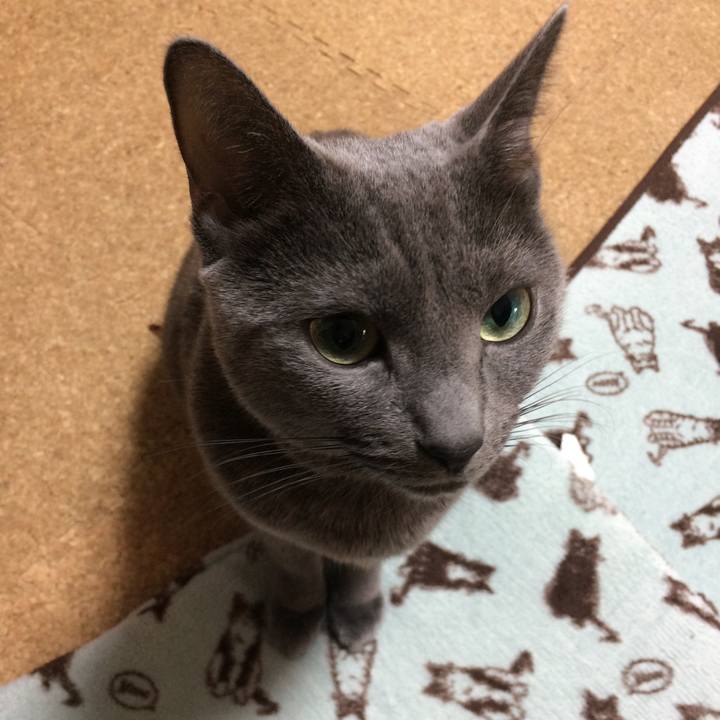 F10ecf3b 7ccc 47b4 bffe a5c8ed77ec7c