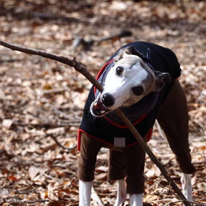 F10ff4ba ac52 4d94 80a2 a5c02fcb15f8