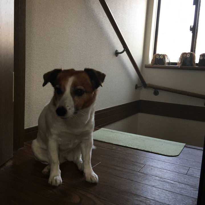 F1100085 4002 4206 af9f 3150b08762d4