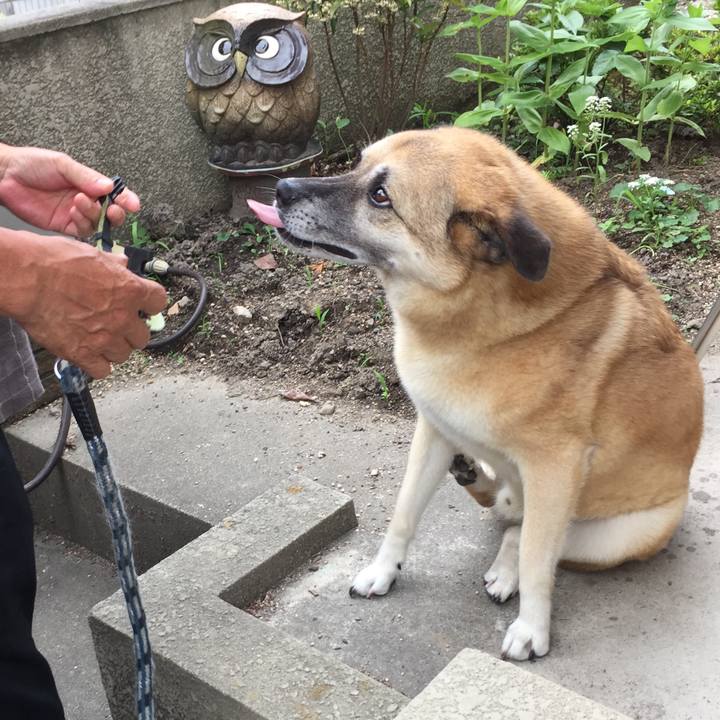 F1104563 6eb6 4049 a6b9 bd438109ee01