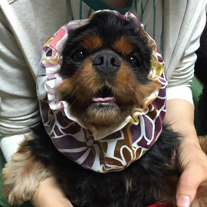 F1105d2e d256 49af ac5b 44ce6d41ba17