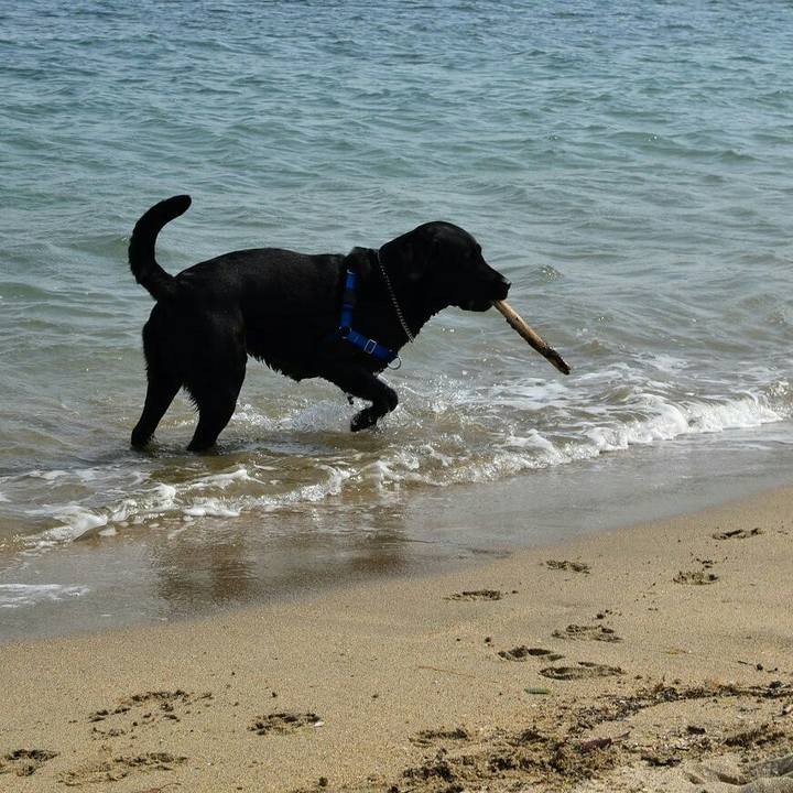 F1108664 c843 4265 a088 c9f364768993