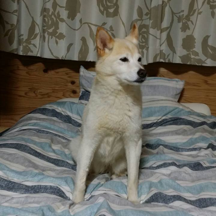 F11089d7 562e 4931 adef a372172a71cf