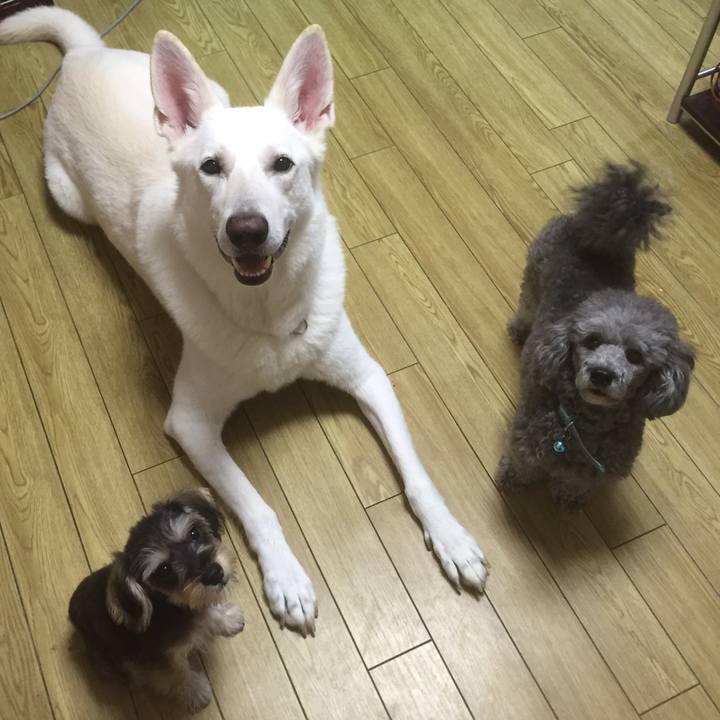 F111d9f8 52b7 4eb2 9ea9 bbbfe8353fc0