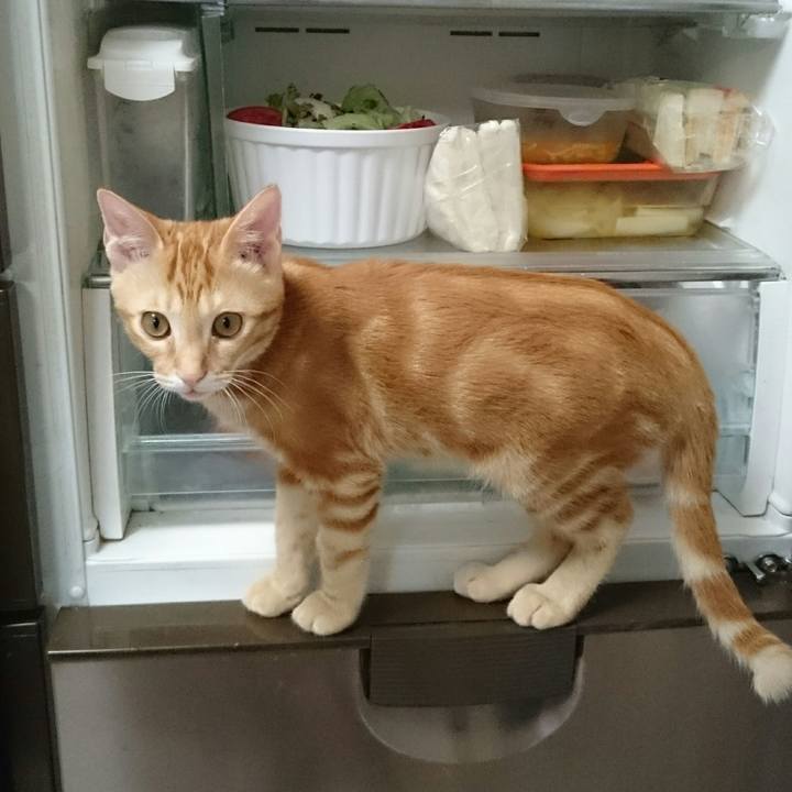 F1121d76 425a 4100 9321 74472540b3cd