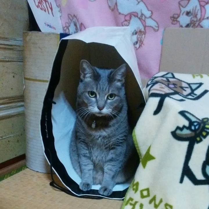 F112a1db 8c46 4d60 b112 86c35a3c2af8