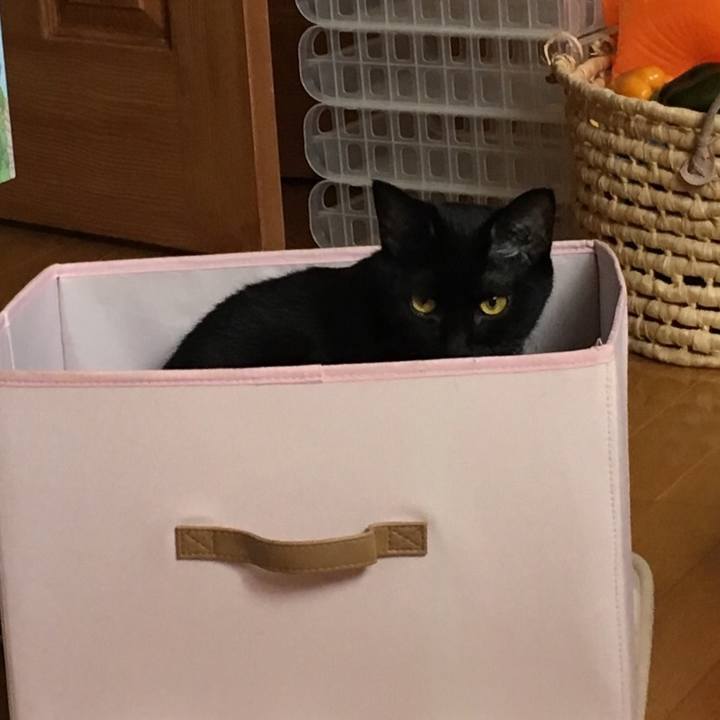 F11318f5 1227 49e2 9a0f 641f2d2e08db