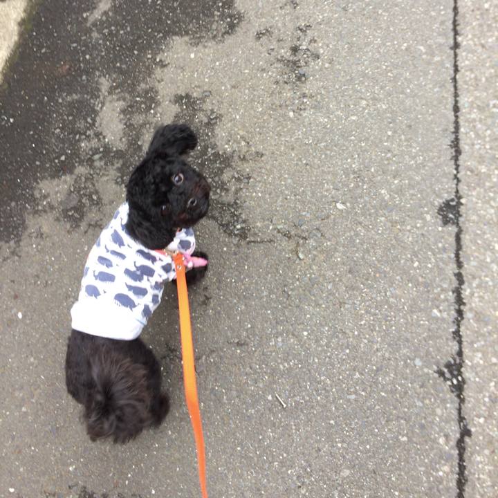 F11395ef 6c65 460a 94ad fce5b888c263