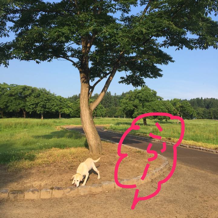 F113e951 31bd 49b6 9c0b 896b96682615