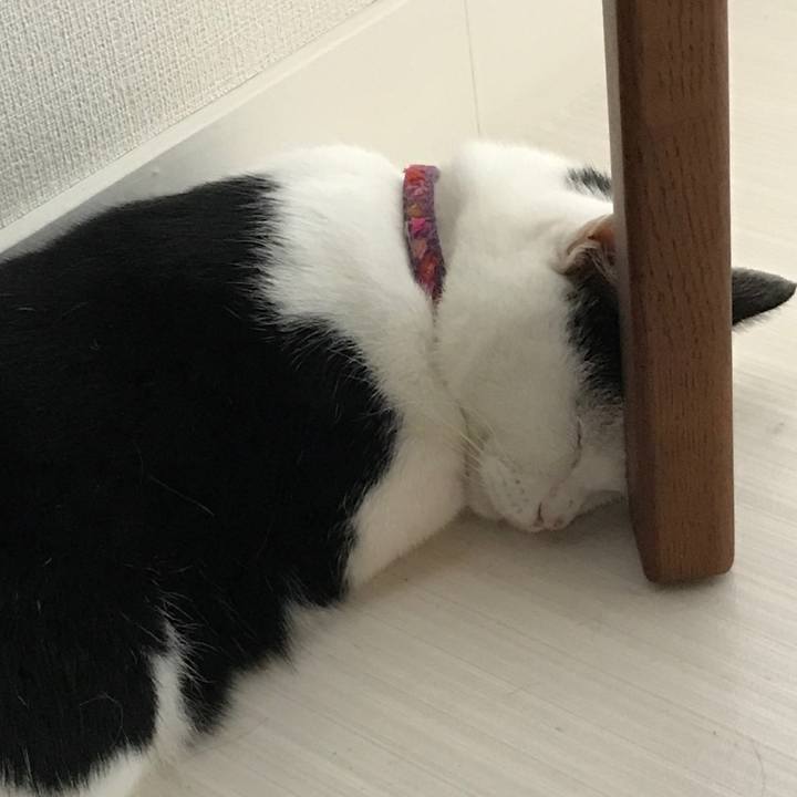 F11430b7 8c78 4122 a082 818961272483