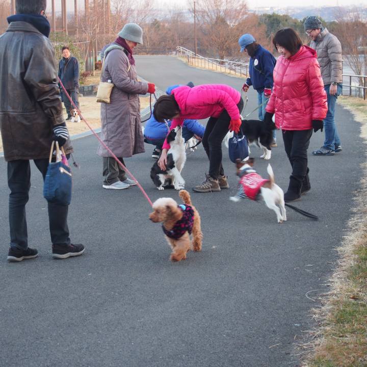 F1149b6c f48c 4c55 99be 73047bd70b42