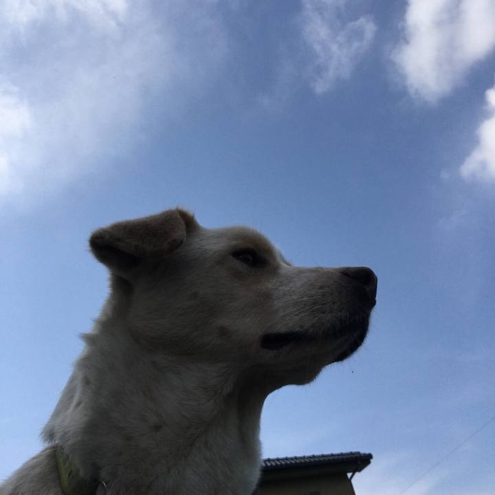 F114d690 6efe 45c2 b467 4902c4f58beb