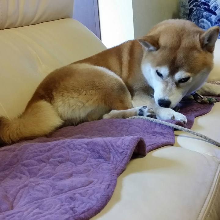 F114e8cf 3a50 4224 8c79 cc3d2697a384