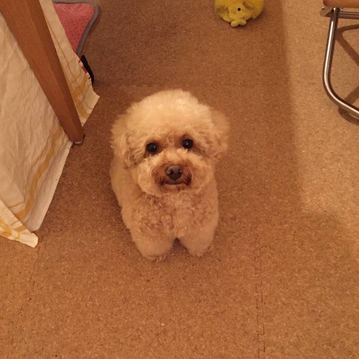 F115d740 8c71 4a2c bae8 a48d1c2c7fa2