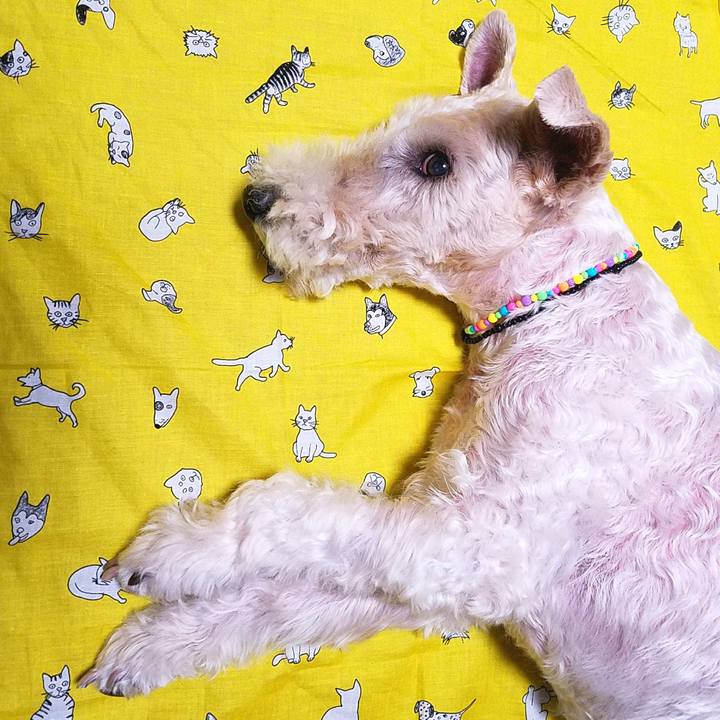 F1160a27 e6c5 4e80 aa1b 7e4fe0f7358b