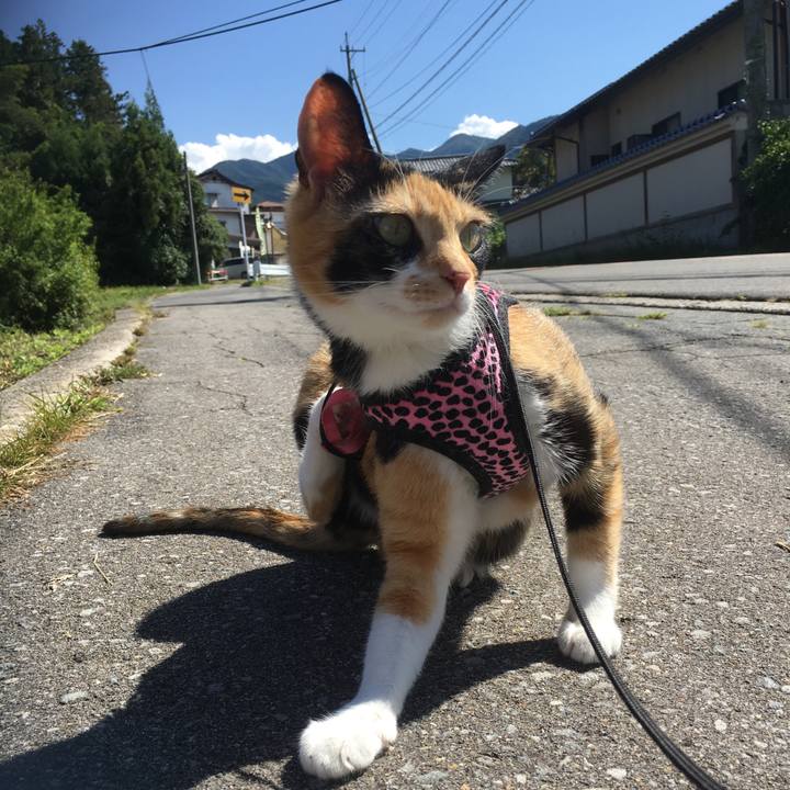 F1165c6b 3b45 48ec b74f d86feec49a95