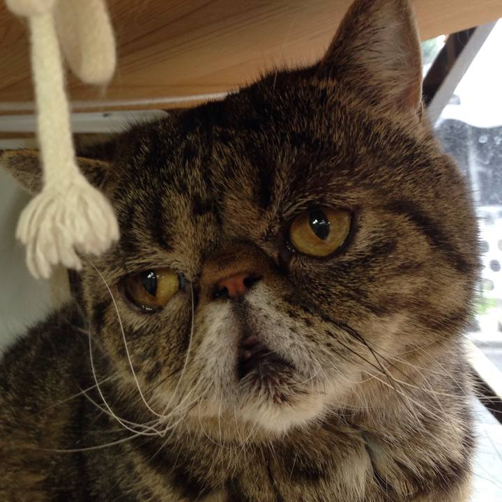 F1167cc2 2473 47cd 9feb 6a95867dd7d6