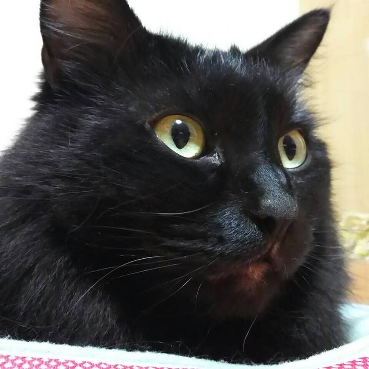 F116c598 7f40 4a8d aafd fafdd56f447d