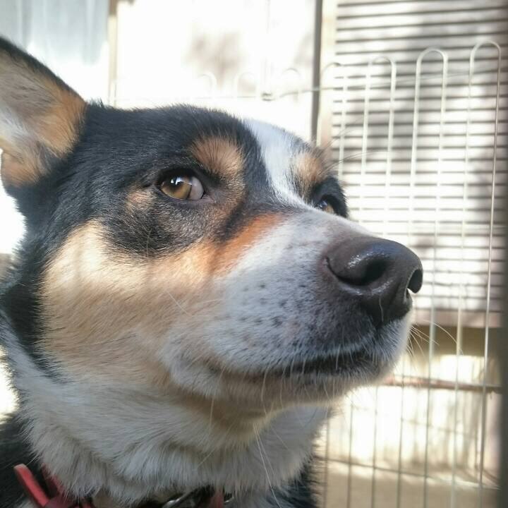 F116e3c3 53d2 4e58 8546 ceae8b4fd9ea