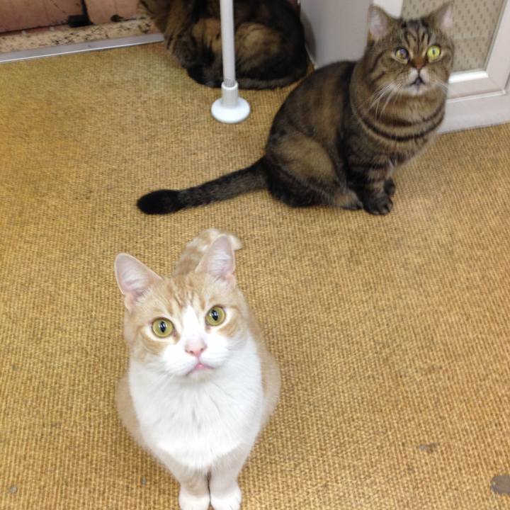 F11701cb 311b 4a02 854c 8c21c81b1665