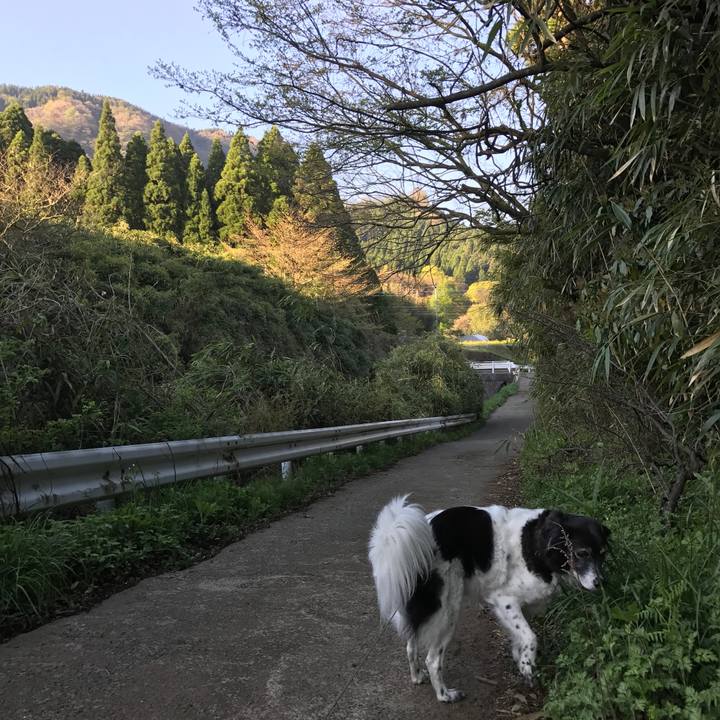 F1170253 69da 4b50 8a90 276bca375452