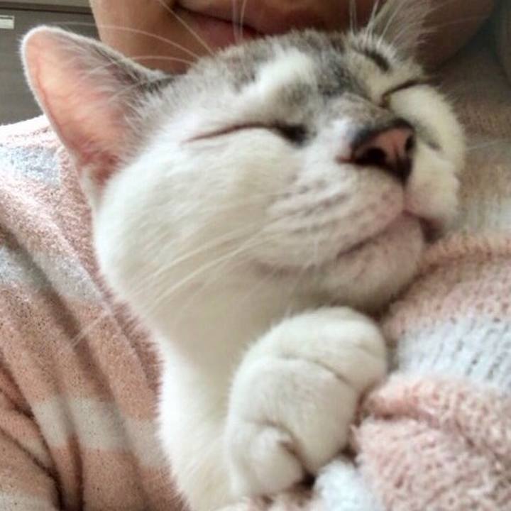 F1178989 490e 4a98 8033 56eea6cb9bfc