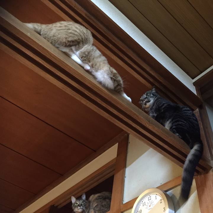 F117f1fc 1464 49cd a7e3 b131f917251e