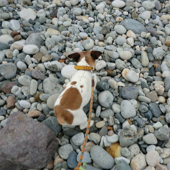 F11846dd bb85 4e62 a9ce 3321391743c3