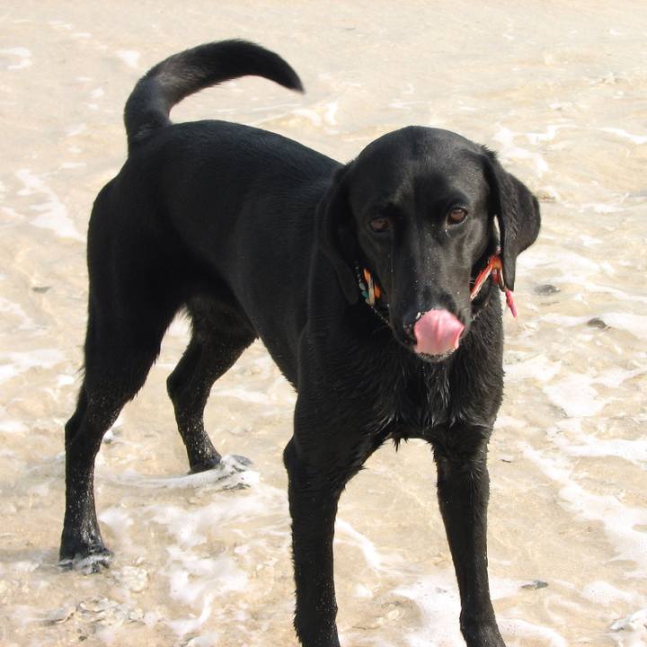 F1187f98 b309 45a4 a2ea 81b675bc159a