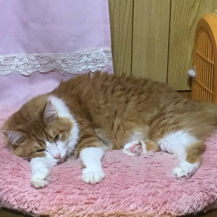 F11932d5 7211 49cf 83f9 2b4ebcb7e358