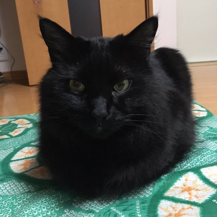 F1198f5c d45b 456c 893e 10b1a3f5d9e0