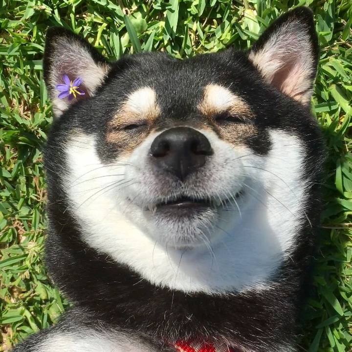 F119ab77 ab45 482e b8f0 be159460ef2f