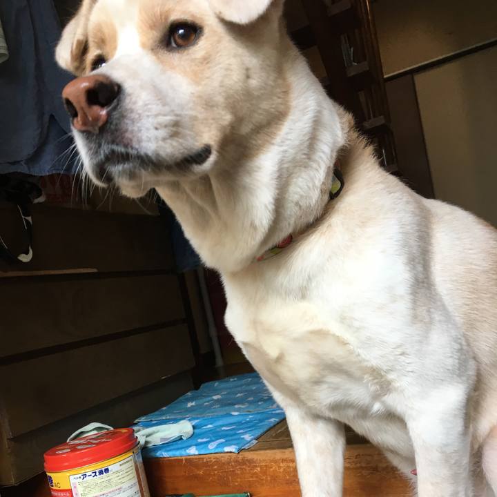 F11a3711 6952 4375 9117 fcc9e955bd3d