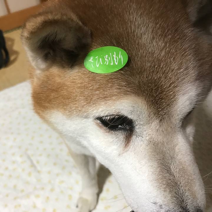 F11a7cd0 6d6f 4757 86a6 365e919797ee